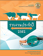 รายงานประจำปี 2562